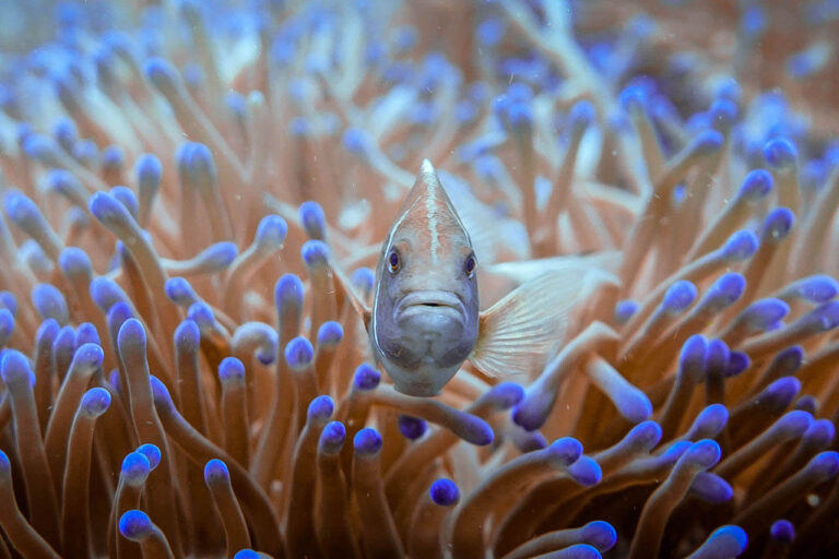 5 Tips for Being Caught in a Down Current